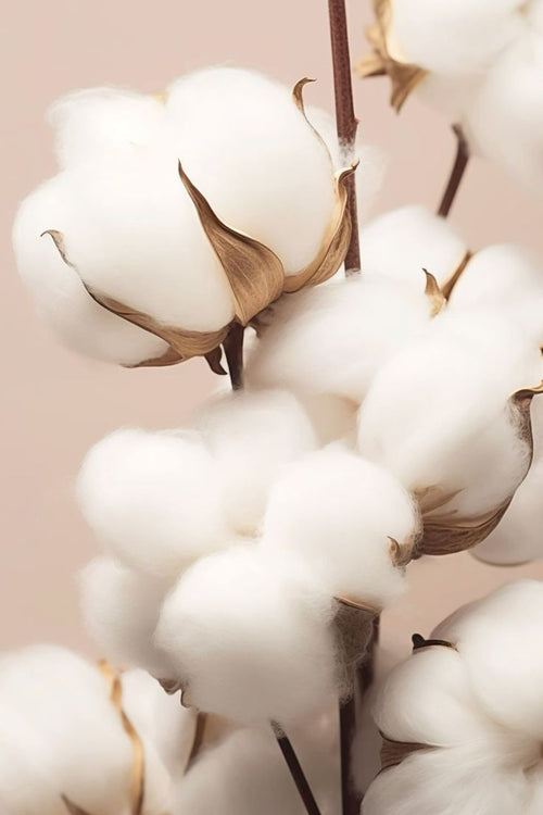 Moisturizing Whipped Cream - Cotton Flower