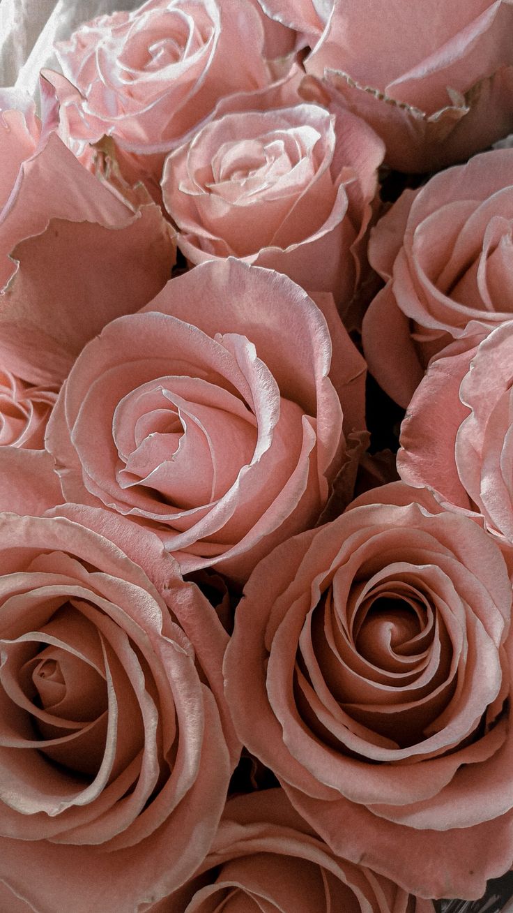 Hydrating Chantilly Cream - Oud Rose